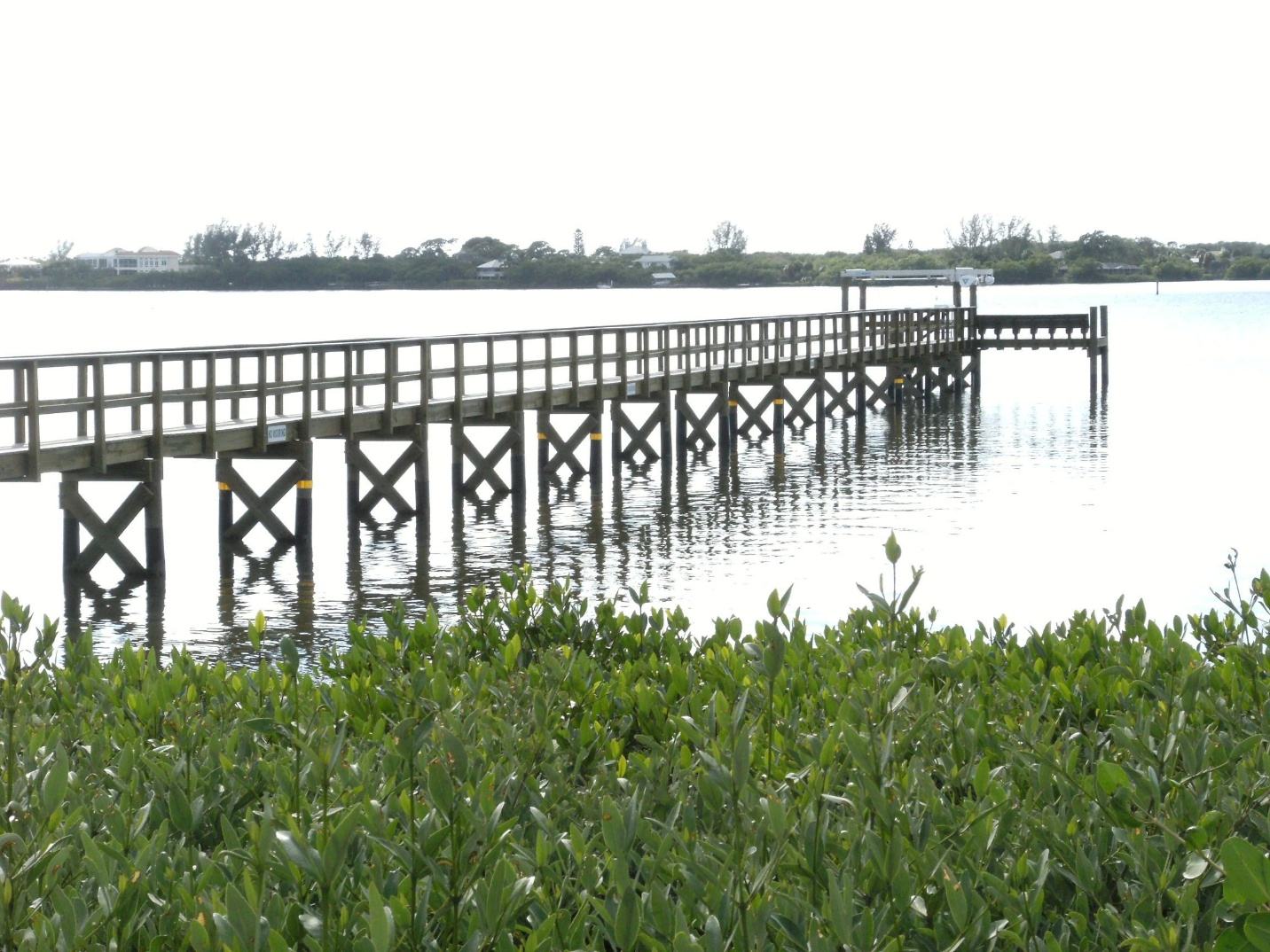 Elevated walkway through mangroves